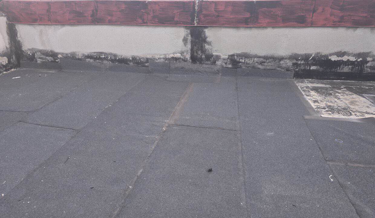 20250310_165956
