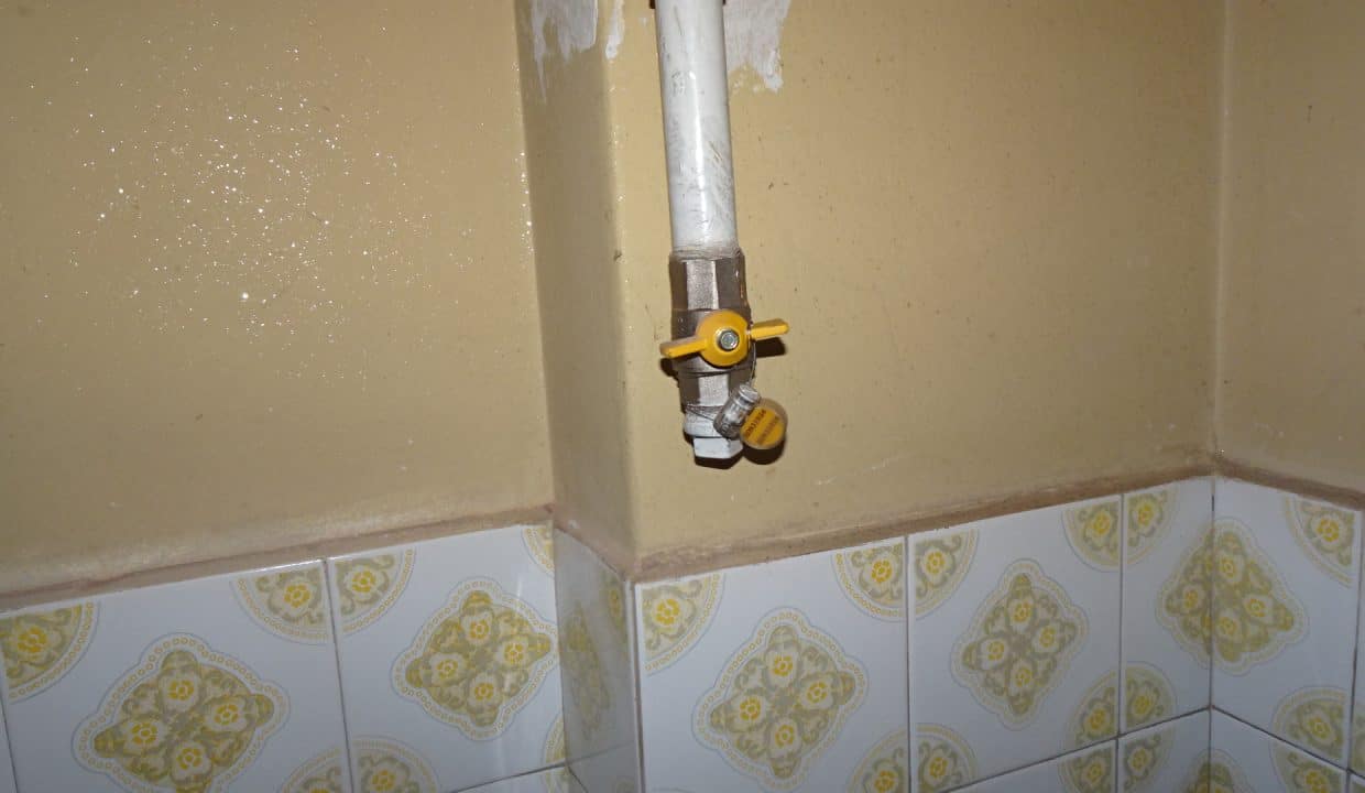 DSC00155