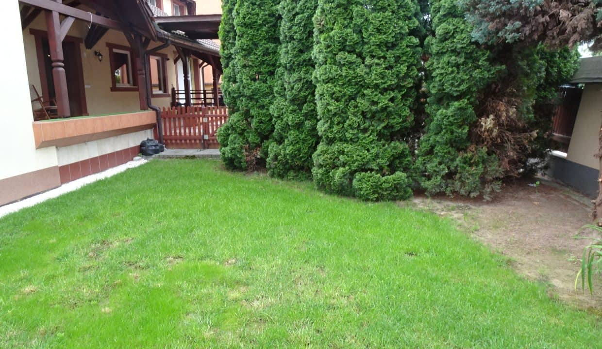DSC00209