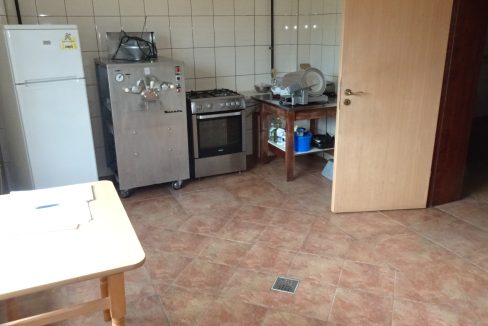 DSC00219