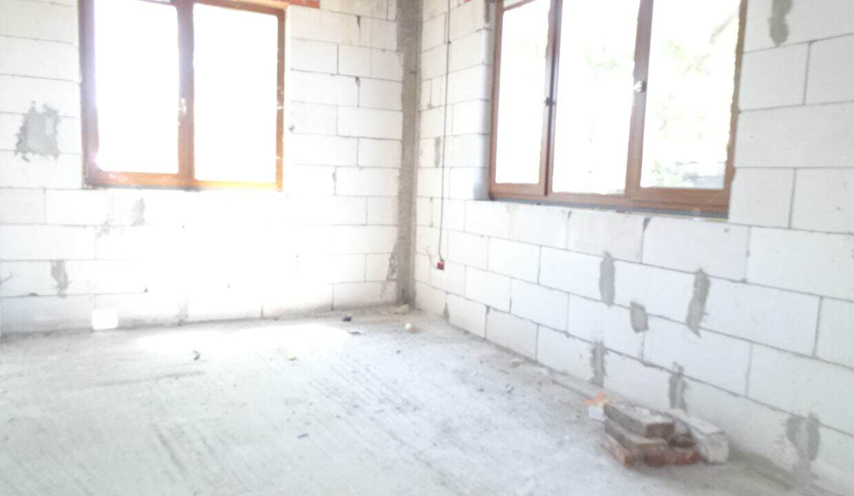 DSC00529