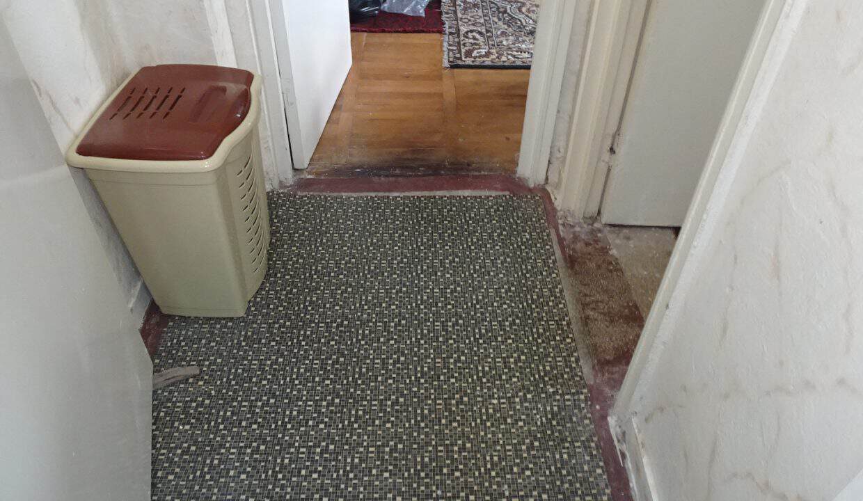 DSC00550
