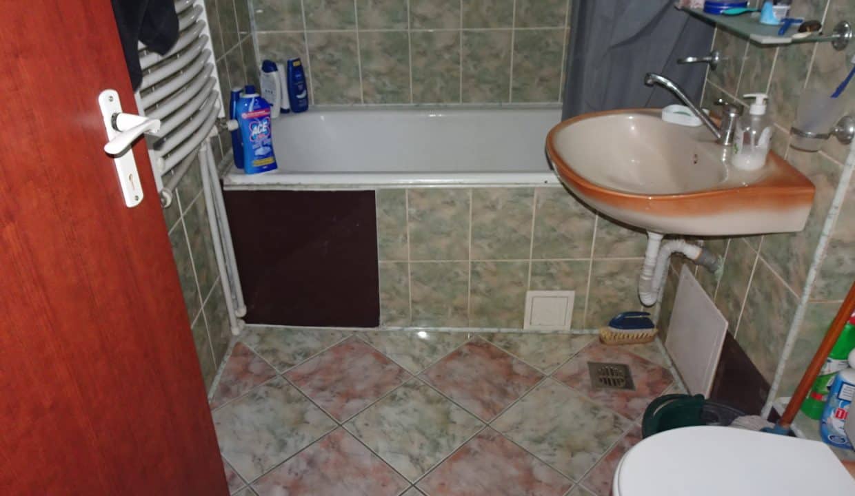 DSC01387