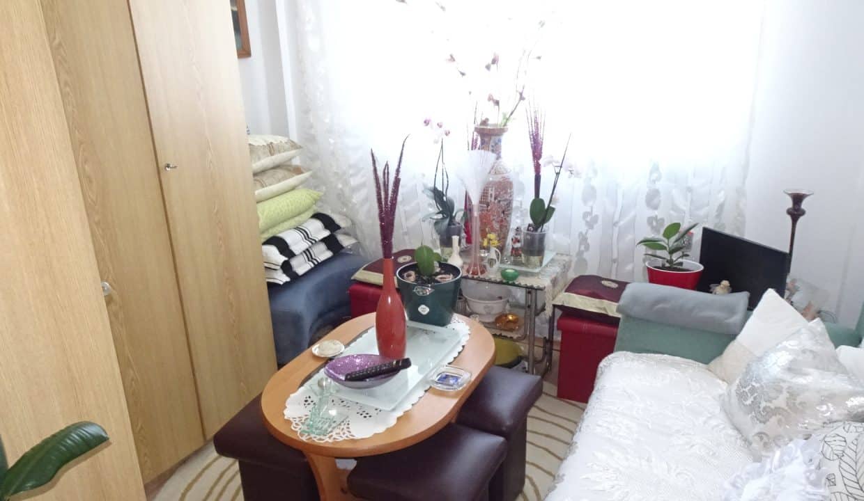 DSC01559