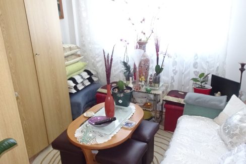 DSC01559