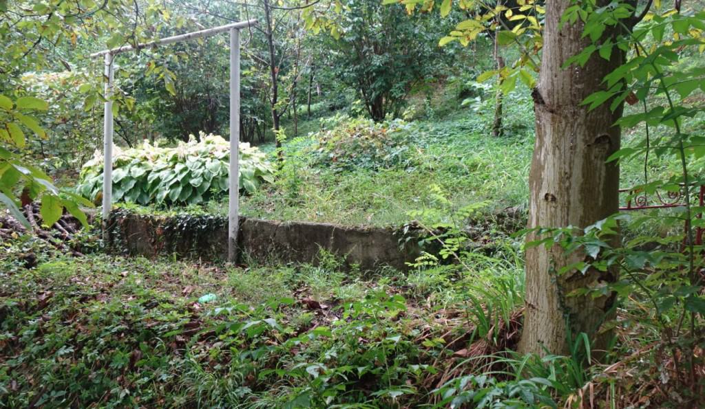 DSC01781