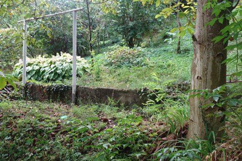 DSC01781