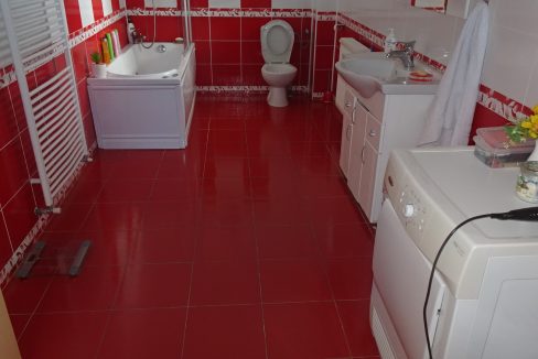 DSC06358