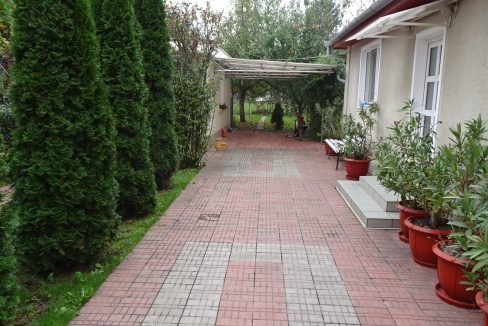 DSC06407