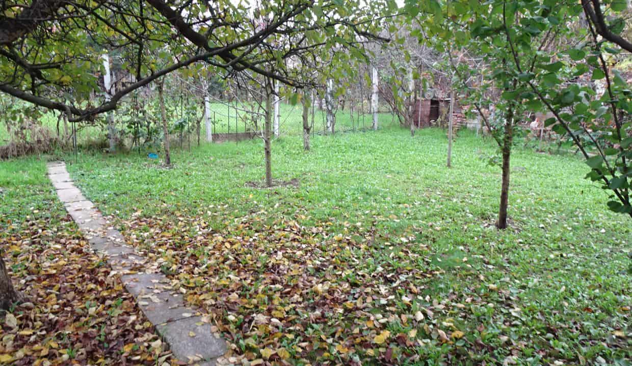 DSC06411