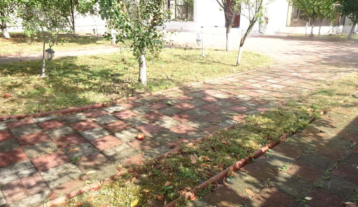 DSC06897
