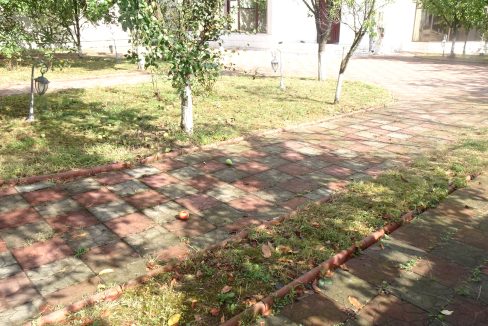 DSC06897