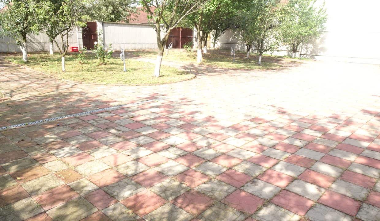 DSC06898
