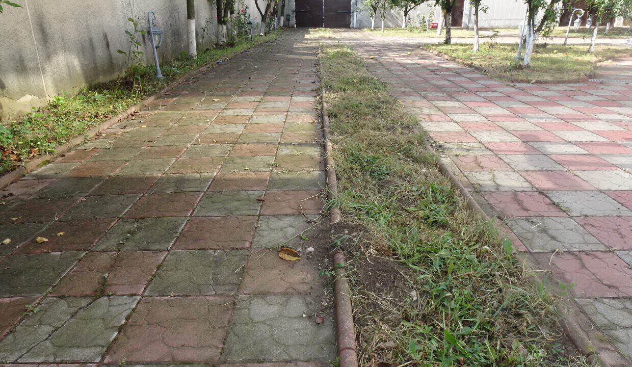 DSC06899