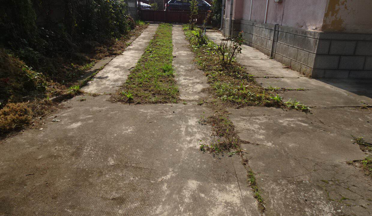DSC07291