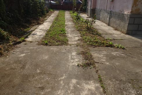 DSC07291