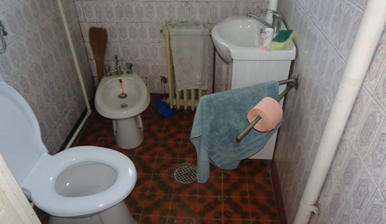 DSC07310