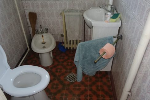 DSC07310