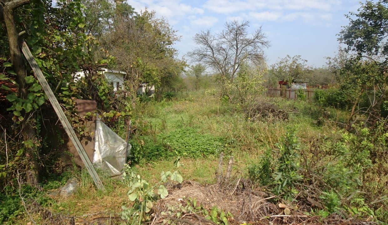 DSC07319