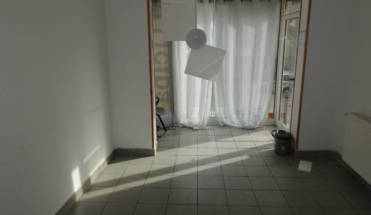 DSC07499
