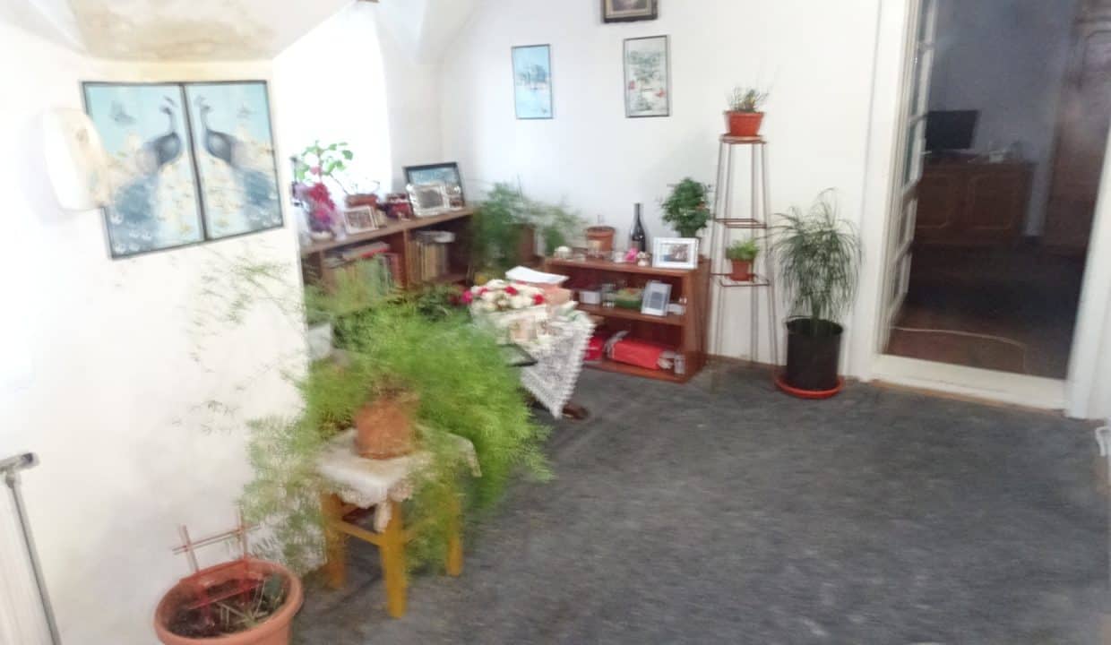 DSC08663