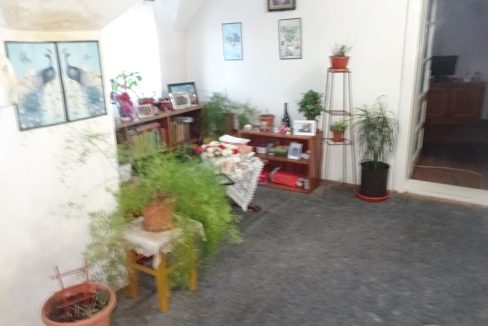 DSC08663
