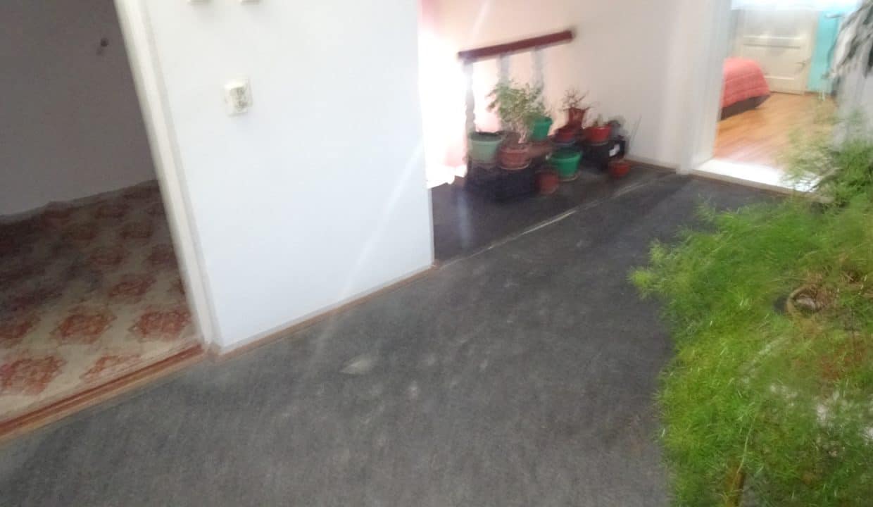 DSC08664