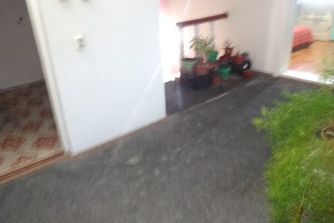 DSC08664