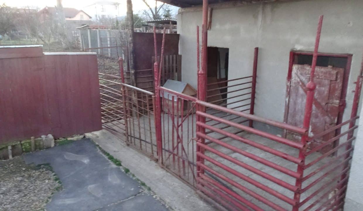 DSC08675