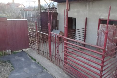 DSC08675
