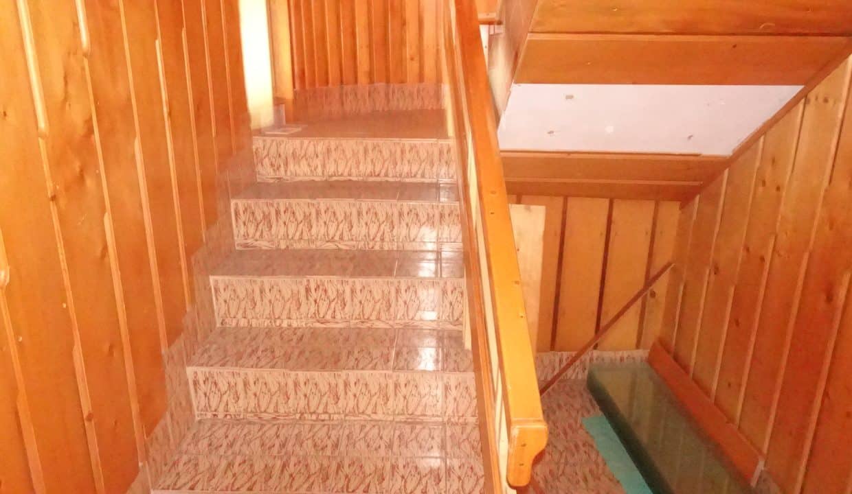 DSC08877