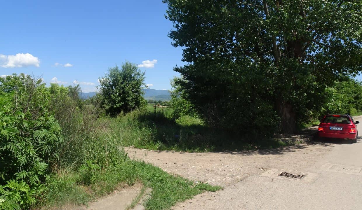 DSC09703