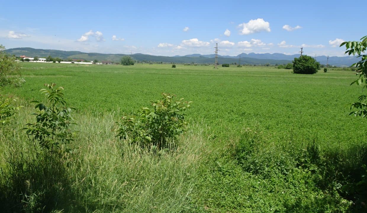 DSC09704