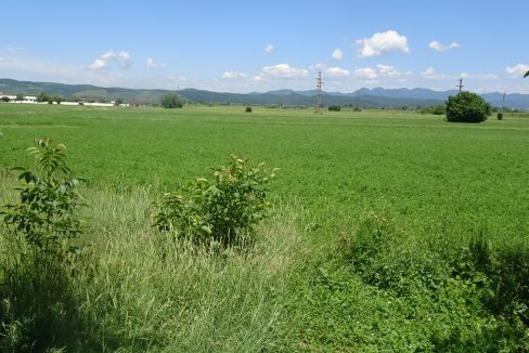 DSC09704