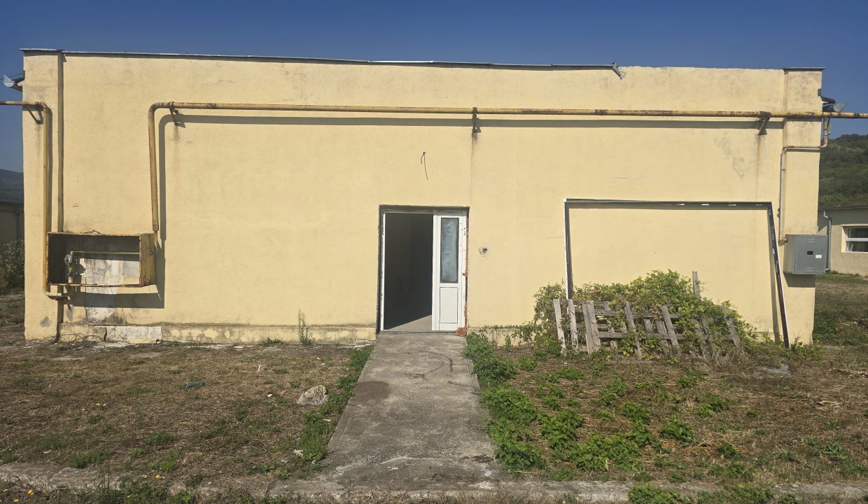20260805_101234