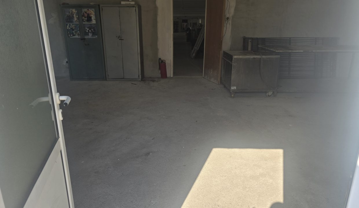 20260805_101355