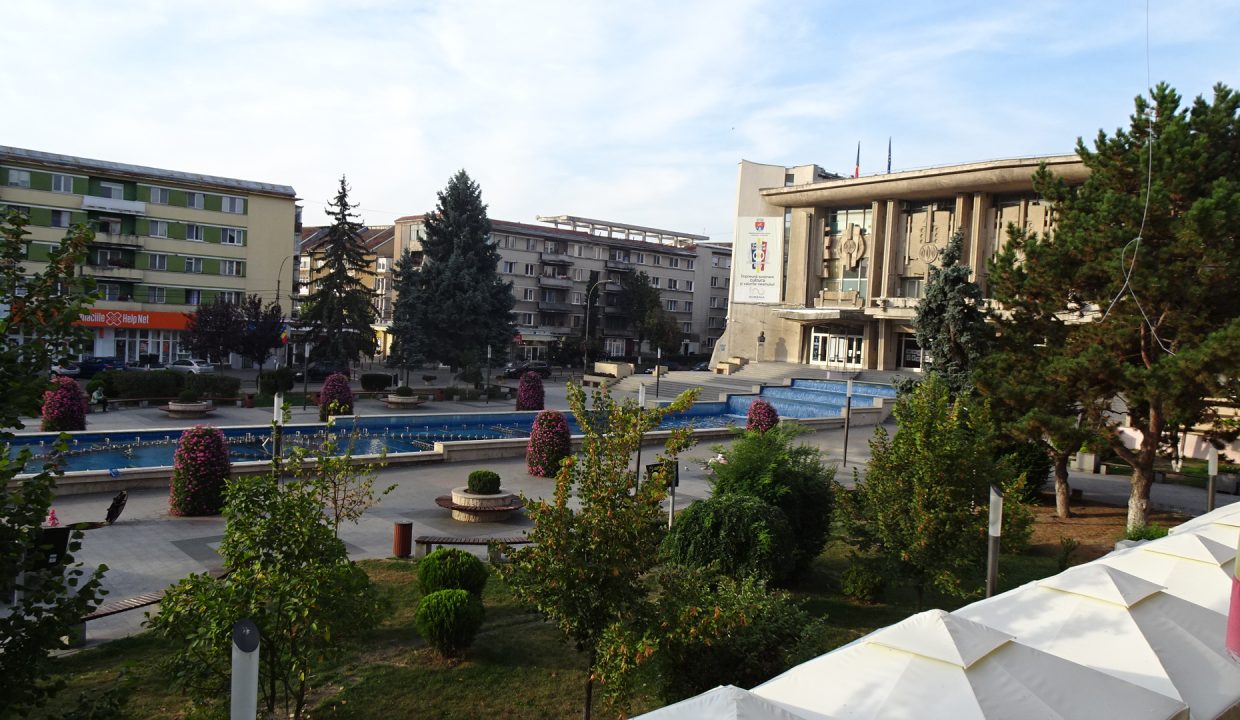 DSC05206