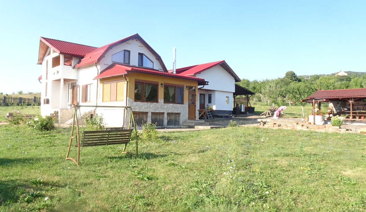 DSC00560
