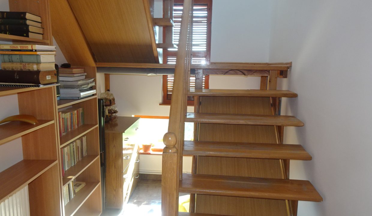 DSC00588