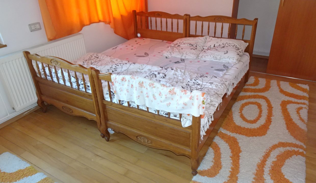 DSC00595