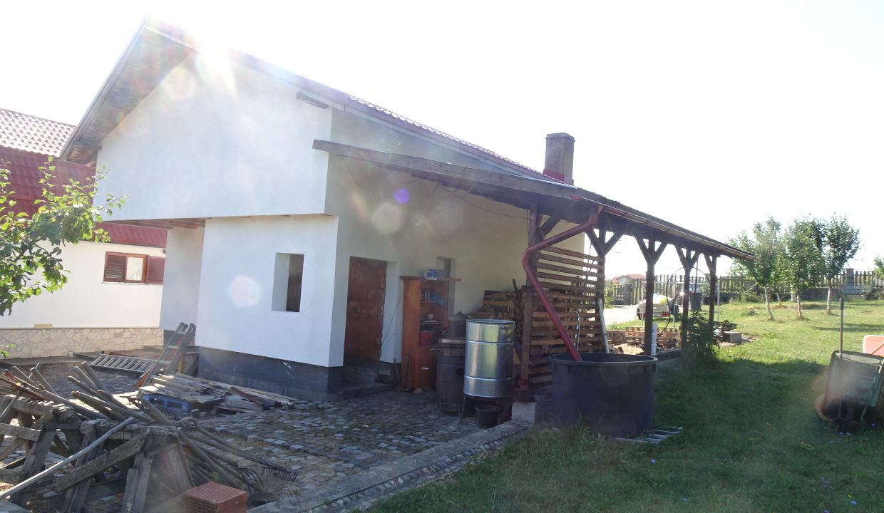 DSC00606