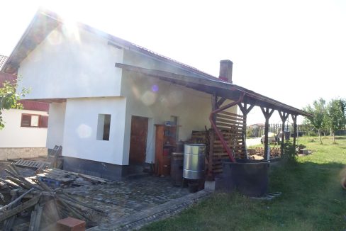 DSC00606