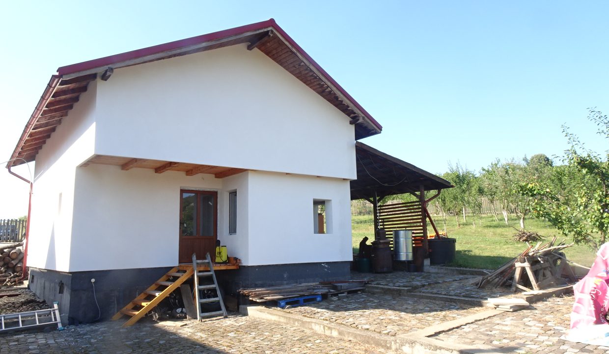 DSC00607