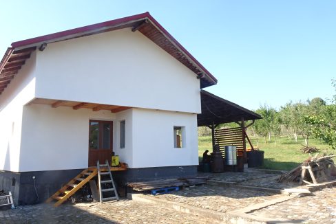 DSC00607