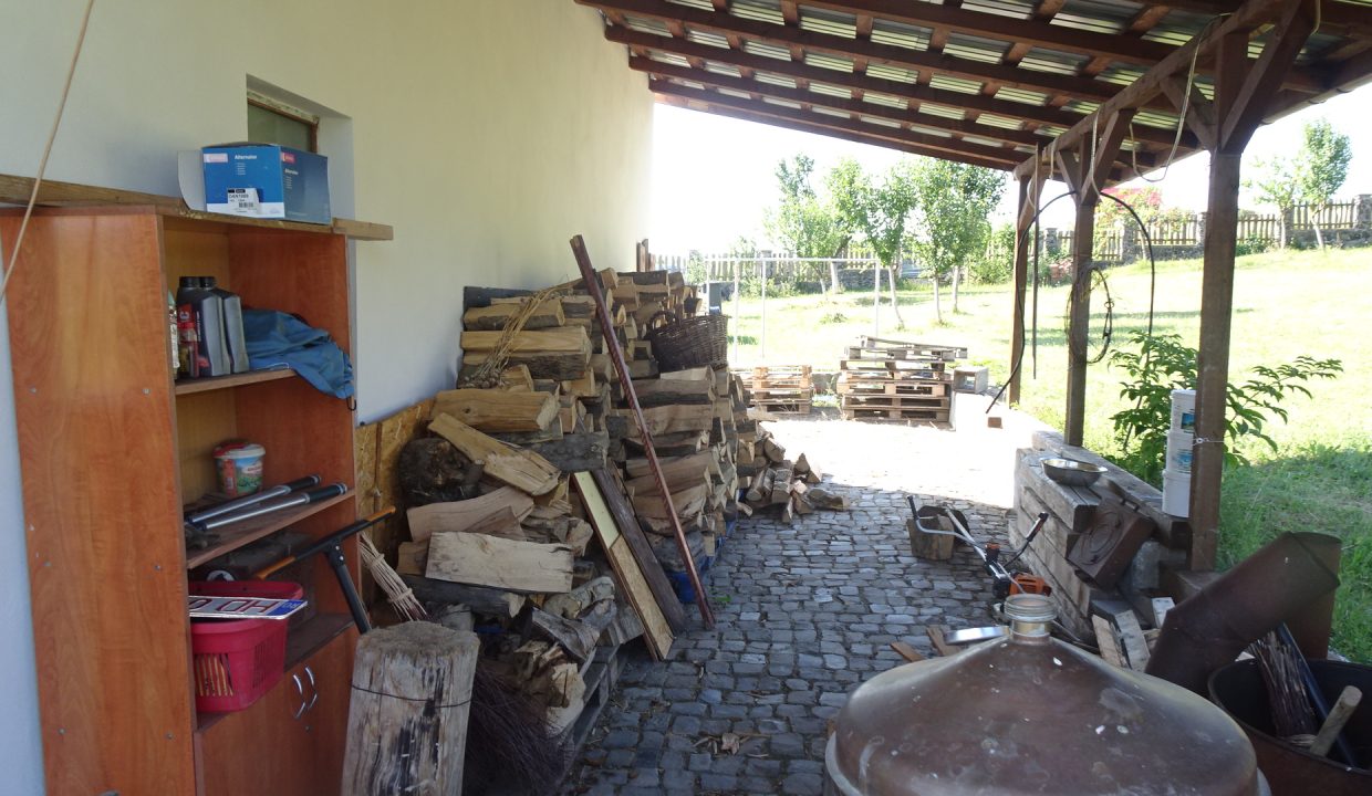 DSC00608