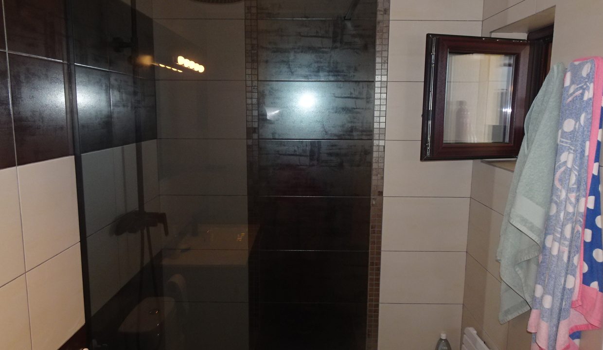 DSC03519