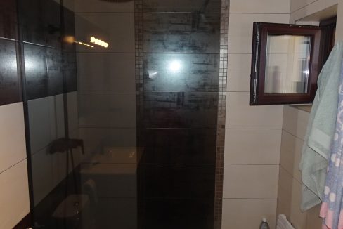DSC03519