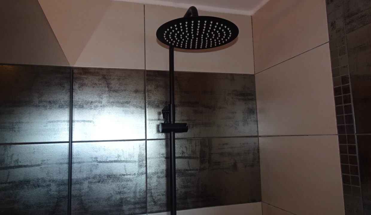 DSC03521