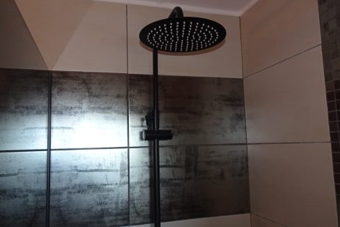 DSC03521