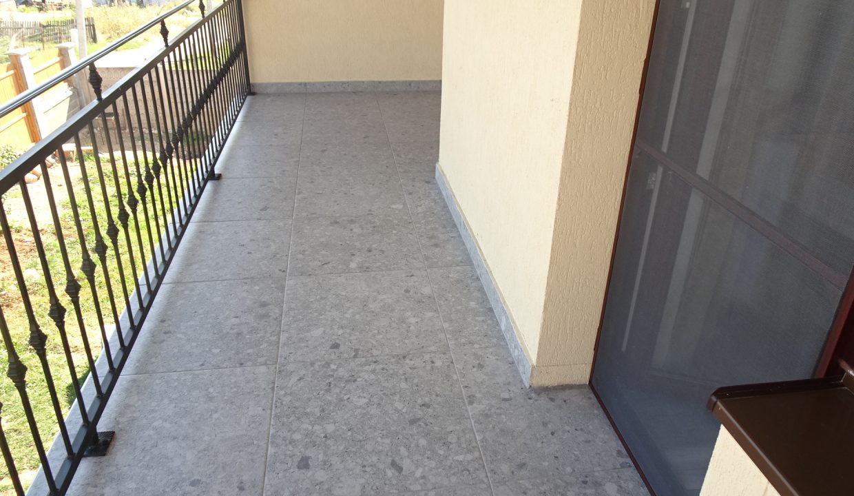 DSC03529